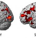 For the first time, scientists at Carnegie Mellon University have identified which emotion a person is experiencing based on brain activation. The brain image on the left shows what happy looks like; the brain image on the right shows what sad looks like.