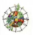 The circadian rhythms of fruits and vegetables are on display in this 2013 painting from artist Daisy Chung.