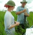 This shows co-authors Blanca Bernal and Bill Mitsch taking soil cores in the Okavango Swamp in Botswana, Africa.
