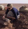 Tara Smiley, former University of Washington undergraduate, excavates a skeleton of <i>Bunostegos</i>.