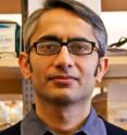 Senior author Nirao M. Shah, M.D., Ph.D., is a UCSF associate professor of anatomy.