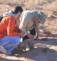 Yevgeniy Marusenko (L) and Ferran Garcia-Pichel (R) collect microbe samples from the desert near Moab, Utah. Garcia-Pichel is a microbiologist and professor with Arizona State University's School of Life Sciences, and Marusenko is a post-doctoral fellow in Garcia-Pichel's lab and co-author of the paper.