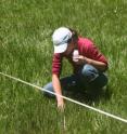 UC Davis postdoctoral scholar Leslie Roche takes a water sample from a meadow on a US Forest Service grazing allotment for her study, published June 27, 2013 in <i>PLOS ONE</i>, on cattle grazing, recreation and water quality on public lands.