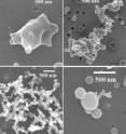 These images show the mixing and classification of soot particles. The field-emission scanning electron microscope images of four different categories of soot particles are: (a) embedded, (b) partly coated, (c) bare and (d) with inclusions. Approximately 50 percent of the ambient soot particles are embedded, 34 percent are partly coated and 12 percent have inclusions. Only 4 percent of the particles are bare soot (not coated or very thinly coated). Scale bars, 500 nm. Right, spherical tar balls dominate in the emissions.