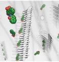 The stacked gray arrows are a artistic representations of the amyloid proteins associated with numerous diseases, including Alzheimer's. When proteins enter amyloid, they stack up like the rungs of a ladder and interfere with normal operations of biological cells.  

The green and red molecules are atomic representations of one of the compounds discovered by Jiang, et al., which bind to amyloid fibers. Carbon atoms are colored green, oxygen atoms are red, and nitrogen atoms are blue.