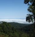 A new study by the Wildlife Conservation Society examines the potential implications of growing economic development and climate change on the biodiversity of Myanmar, home to wild places such as the Hukaung Valley.