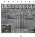 This is a SEM image of a logic circuit based on 14 nanowires.