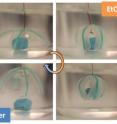 Researchers have created a hydrogel "grabber" that can grasp and release objects.