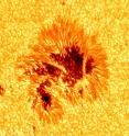 The most precise sunspot image ever taken is shown.  With the unprecedented resolution of the Big Bear Solar Observatory's New Solar Telescope (NST), many, previously unknown, small-scale features are revealed.  They include the twisting flows along the penumbra's less dark filaments, as well as the complicated dynamical motion in the light bridge vertically spanning the darkest part of the umbra, as well as the dark cores of the small bright points (umbra dots) apparent in the umbra.  The telescope is currently being upgraded to include the only solar multi-conjugate adaptive optics system to fully correct atmospheric distortion over a wide field of view, as well as the only fully cryogenic solar spectrograph for probing the sun in the near infrared.  Other instruments have been brought on-line since 2009, to enable the NST to probe the sun with its full scientific capability for measuring magnetic fields and dynamic events using visible and infrared light.