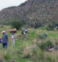 The researchers assessed plants growing at different elevations in the same areas surveyed by botanists 50 years ago.