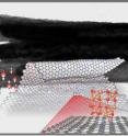 After decoration with maghemite nanoparticles the graphene spontaneously form nanoscrolls. The dark cylinders in the upper part of the image shows graphene nanoscrolls that are covered with a smooth layer of small particles. The nanoscrolls form "bundles" with 5-10 cylinders due to the interaction between the nanoscrolls. The lower part of the image show a simulated image of a graphene sheet in the scrolling process. The region zoomed show a maghemite nanoparticle attached to the graphene sheet.