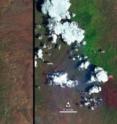 The "before" image (left) is a false-color Landsat 8 image acquired May 28, 2013. The "during" image was acquired, June 13, 2013, while the New Mexico Silver Fire was still growing. (The white puffs with black shadows in the right image are clouds.)
