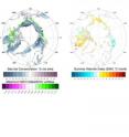 This shows magnitude trends for (left) spring sea-ice concentration (%) (as represented by trends from the climatological 50% sea-ice concentration level) and (left) annual MaxNDVI (unitless).  The right panel shows land-surface summer warmth index (SWI) (&#730;C month). Trends were calculated using a least squares fit (regression) at each pixel. The SWI is the annual sum of the monthly mean temperatures > 0°C, derived from AVHRR thermal channels 3 (3.5&#82113.9 &#956;m), 4 (10.3&#821111.3 &#956;m) and 5 (11.5&#821112.5 &#956;m). The total trend magnitude (regression times 30 years) over the 1982&#82112011 period is presented.