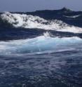The oceans do not only get warmer with the chaning climate but also more acidic by sinking pH values.