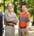 Graduate student Derek Caetano-Anollés, crop sciences and Institute for Genomic Biology professor Gustavo Caetano-Anollés and senior bioinformatician Minglei Wang report that the emergence of the genetic code corresponds to the advent of protein flexibility.
