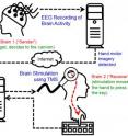 This image shows the cycle of the experiment. Brain signals from the "Sender" are recorded. When the computer detects imagined hand movements, a "fire" command is transmitted over the Internet to the TMS machine, which causes an upward movement of the right hand of the "Receiver." This usually results in the "fire" key being hit.