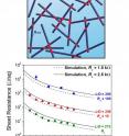 Because nanowire networks are deposited randomly, the role that contact resistance, or the amount of resistance that results from electrons traveling from one wire to another, plays in the overall resistance of the network is hard to determine. By developing a simulation of these networks based on their other parameters, such as nanowire length and width, the researchers can match the simulated electrical resistances (lines) to experimental values (points) and extract the contact resistance.