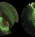 Two digital SLRs (single-lens reflex cameras), equipped with fisheye lenses and GPS units, simultaneously captured the all-sky images of aurora used to make this timelapse.