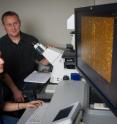 Georgia Tech associate professor Kirill Lobachev and graduate student Natalie Saini review data from a DNA combing experiment at the Microscopy and Biophotonics Core Facility in the Parker H. Petit Institute for Bioengineering and Bioscience.