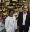 Rice University researchers have found a "vicious cycle" that protects uterine and pancreatic cancer cells. From left, Daniel Carson, dean of the Wiess School of Natural Sciences, postdoctoral researcher Neeraja Dharmaraj and graduate student Brian Engel. Rice University researchers have found a "vicious cycle" that protects uterine and pancreatic cancer cells. From left, Daniel Carson, dean of the Wiess School of Natural Sciences, postdoctoral researcher Neeraja Dharmaraj and graduate student Brian Engel.