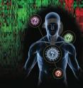 A test developed by researchers at Duke Medicine detects a specific genetic "signature" in the host's immune system unique to a viral infection, demonstrating a potential new method for diagnosing the source of illnesses that have long been tough to pinpoint.