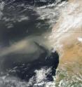 A NASA MODIS satellite image on Sept. 14, 2013, shows a cloud of dust carried by strong winds from sources in the Western Sahara. The Trade Winds transport the dust westward to the United States, the Caribbean and South America.