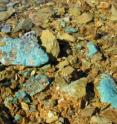 Oxidized copper is visible on the crushed rock of the mining waste rock piles at a Superfund site in coastal Maine.