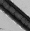 This cutaway view of a titanium dioxide nanotube reveals the drug sodium naproxen on the inside. On the surface of a dental implant, these nanotubes could release this anti-inflammatory drug or other pharmaceuticals that could speed healing.