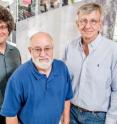 Chemistry professor Jonathan Sweedler (left), microbiology professor John Cronan, biochemistry professor John Gerlt and their colleagues developed a streamlined approach to discovering enzyme function. Chemistry professor Jonathan Sweedler (left), microbiology professor John Cronan, biochemistry professor John Gerlt and their colleagues developed a streamlined approach to discovering enzyme function.