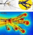 This is a typical view of positive streamer branching in a liquid dielectric, (top) experimental images of a positive streamer initiated from a needle electrode and, (bottom): 3-D modeling result of a corresponding case (iso-surface plot of the electric field distribution). The streamer structures are qualitatively similar in experiments and simulations. The fractal structure of the streamer tree in the experimental image makes it possible to compare the modeling result a lso with other nodes of the tree including the one at the needle electrode tip.