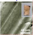 Rice University researchers claim ultra-thin sheets of hexagonal boron nitride (h-BN) can keep metals from rusting in high temperatures. At top, stainless steel oxidizes after half an hour in a furnace. At bottom, a sheet of h-BN protects steel subjected to the same temperatures.