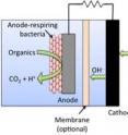 An MFC consists of an anode, a cathode, a proton or cation exchange membrane and an electrical circuit. In the left compartment, anode-respiring bacteria (like <i>Geobacter</i>) attach themselves to the anode, forming a sticky residue or biofilm. 

In the course of their metabolic activity, these bacteria strip electrons from organic waste. The electrons then flow through a circuit to the cathode, producing electricity in the process, in addition to CO2 and water. Hydroxide or OH- ions are transported from the cathode into the surrounding electrolyte. 

Note: in an experimental set-up lacking organic waste, an electron donor -- typically acetate -- is supplied in the growth medium, as a nutrient source for the anode respiring bacteria.