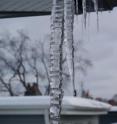 This is a natural ripply icicle, collected to measure water composition.