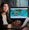 This is an image of Dr. Judith Curry, chair of the School of Earth and Atmospheric Sciences at the Georgia Institute of Technology.