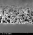 This cross-section micrographs of a tungsten thermal emitter used in the experiment. Figure 2a shows how unprotected tungsten degrades after heating to 1200 degrees Celsius. Fig. 2b demonstrates how the ceramic-coated tungsten retained structural integrity after being subjected to 1400 C heat for an hour.