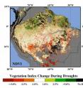 During the 2005 and 2010 droughts, satellites detected decreased vegetation greenness -- or a lower Normalized Vegetation Index (NDVI) -- over the southern Amazon rainforest (orange and red regions). NDVI is derived from MODIS instruments on NASA's Terra and Aqua satellites.