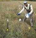 UMBC researcher Upal Ghosh spreads SediMite, a mixture containing activated carbon, onto a marsh.