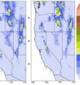 Princeton University-led researchers report that the total deforestation of the Amazon may significantly reduce rain and snowfall in the western United States, including a 50 percent reduction in the Sierra Nevada snowpack that is a crucial source of water for cities and farms in California. The simulation showed that the water equivalent of the snowpack by April 1 decreased in range and depth from pre-deforestation levels (left) when the Amazon was cleared (right). The depth is measured in centimeters with the redder areas indicating more snow.