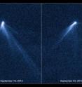 These NASA/ESA Hubble Space Telescope images reveal a never-before seen set of six comet-like tails radiating from a body in the asteroid belt and designated P/2013 P5.

The asteroid was discovered as an unusually fuzzy looking object by astronomers using the Pan-STARRS survey telescope in Hawaii. The multiple tails were discovered in Hubble images taken on 10 September 2013. When Hubble returned to the asteroid on 23 September its appearance had totally changed &#8212; it looked as if the entire structure had swung around.

One interpretation is that the asteroid's rotation rate has increased to the point where dust is falling off the surface and escaping into space, where it is swept out into tails by the pressure of sunlight. According to this theory, the asteroid's spin has been accelerated by the gentle push of sunlight. Based on an analysis of the tail structure, the object has ejected dust for at least five months.

These visible-light images were taken with Hubble's Wide Field Camera 3. P/2013 P5 is seen on the left as viewed on 10 September 2013, and on the right as seen on 23 September 2013.