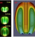 (a) This is a sequence of visible fast camera images of a CHI discharge inside NSTX. The top image shows the expansion of the CHI discharge one thousandth of a second after it is initiated. As shown in the third frame, within three thousandths of a second the plasma has fully filled the vessel; (b) the magnetic structure of a bubble in NSTX as simulated by the NIMROD code.