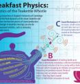 Engineering researchers at England's University of Cambridge have studied the fluid dynamics of the steam teakettle and revealed a two-mechanism process of sound production. This breakthrough in breakfast musings can also be applied to wayward whistles, such as annoying plumbing pipe noises.