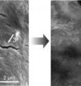 Left: An electron micrograph shows cracks left in a self-healing polymer coating due to swelling of its silicon electrode during charging. Right: Five hours later, the smaller cracks have healed.