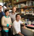 From left are: Salk researchers Ilir Dubova, Ignacio Sancho Martinez, Yun Xia, Juan Carlos Izpisua Belmonte and Emmanuel Nivet.