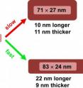 NC State University researchers found they could control the dimensions of the nanorods by varying how quickly they added ascorbic acid. NC State University researchers found they could control the dimensions of the nanorods by varying how quickly they added ascorbic acid.