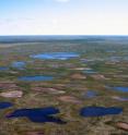 Desiccated lakes in Wapusk National Park near Churchill, Manitoba (Canada) are shown. Desiccation of shallow lakes has occurred recently in response to lower-than-average snowmelt runoff. This phenomenon appears unprecedented over the last 200 years.