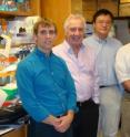 The research to solve a key part of the hepatitis C virus involved three separate laboratory groups at The Scripps Research Institute. Shown here are team members (left to right) Andrew Ward, Ian Wilson, Leopold Kong and Mansun Law.