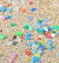 Microscopic fragments of plastic -- or microplastics -- are pieces of plastic less than 5 mm in diameter and are a global marine pollutant.  This image shows microplastic fragments and pre-production pellets collected from a sandy shoreline in Europe; these items are continually fragmenting in the environment.  In this issue, experiments were conducted with sediment dwelling marine worms, showing that chemically inert microplastics of a size similar to sand grains from the beaches in which the worms lived caused physical harm (Wright et al.) whilst Browne et al. showed microplastic can move pollutants and additives to worms, reducing functions linked to health and biodiversity.