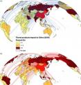 These are maps of imports of forest products to China (a) and exports of forest products from China (b). The countries are classified based on percentage of imported or exported value.