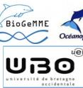 This image show the logos of the partnering institutions.