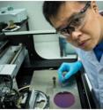 Dr. Zheng Jian, the first author of the paper, is shown demonstrating the printing of Molybdenum disulfide flakes from a solution of the exfoliated flakes.